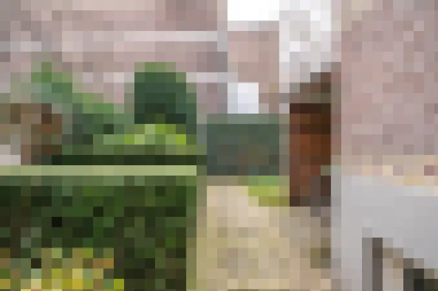 Groesbeekseweg 22 Nijmegen thumbnail 44