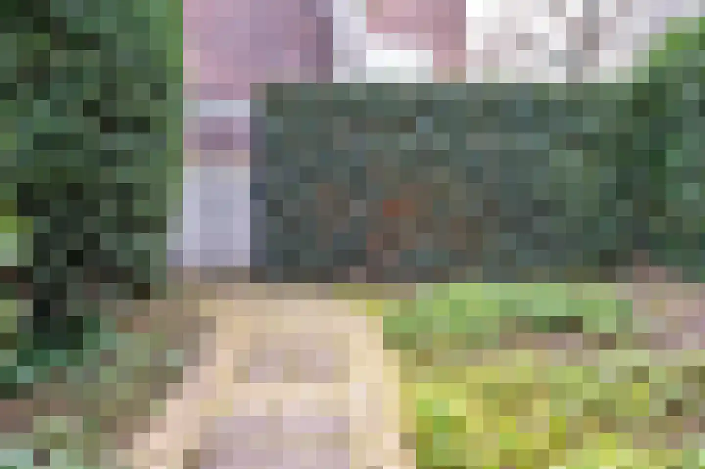 Groesbeekseweg 22 Nijmegen thumbnail 45