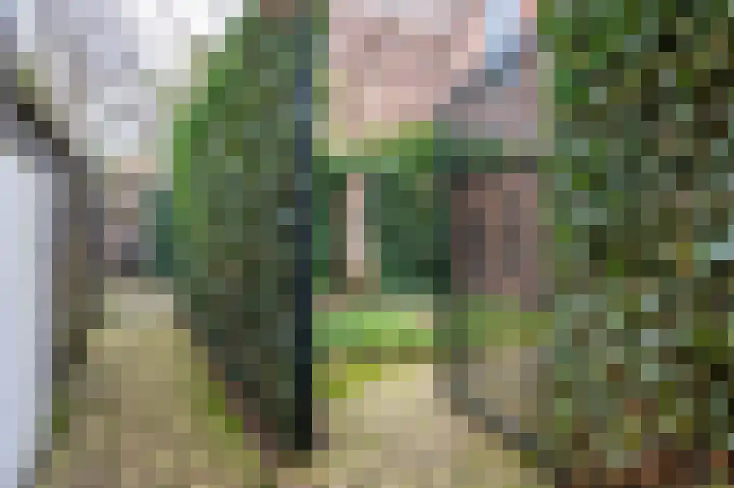 Groesbeekseweg 22 Nijmegen thumbnail 46
