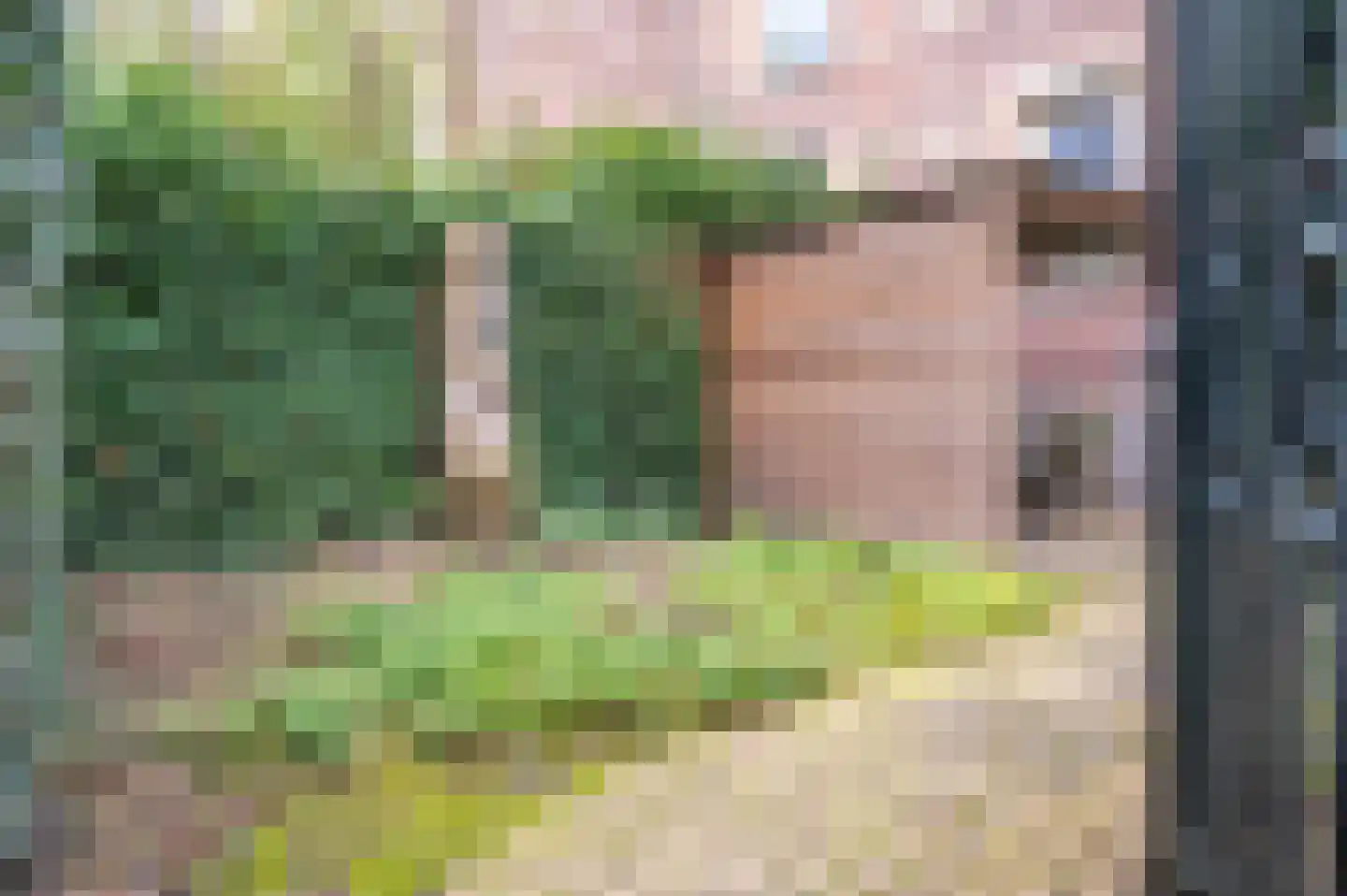 Groesbeekseweg 22 Nijmegen thumbnail 47