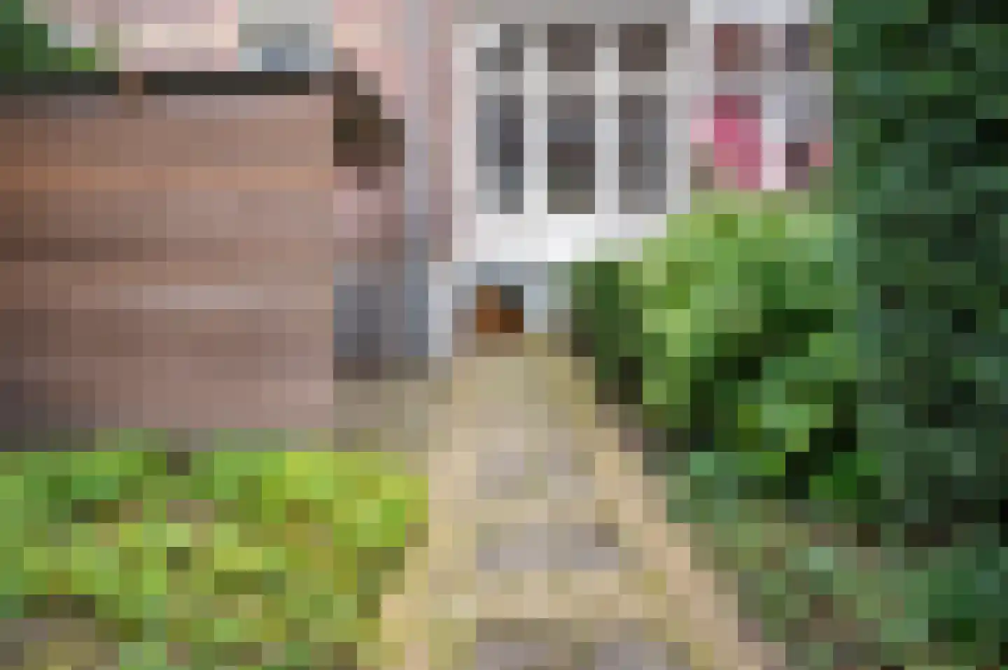 Groesbeekseweg 22 Nijmegen thumbnail 49