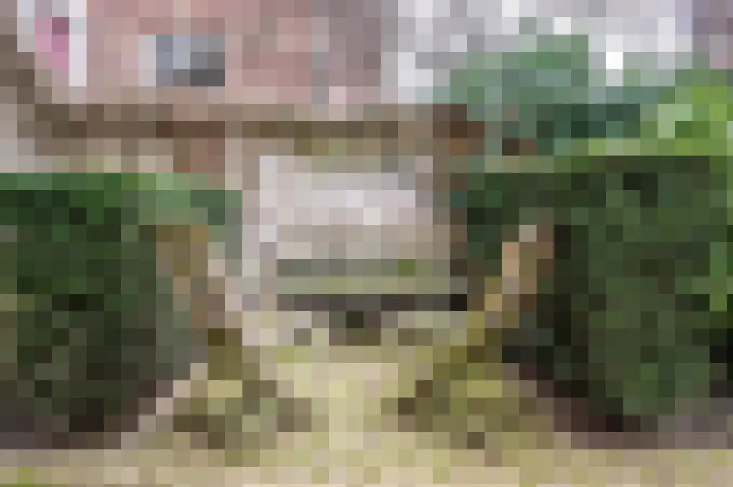 Groesbeekseweg 22 Nijmegen thumbnail 51