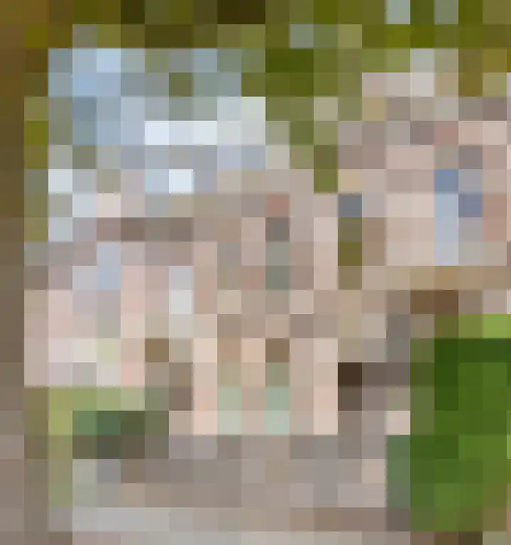 Groesbeekseweg 23 B Nijmegen thumbnail 18