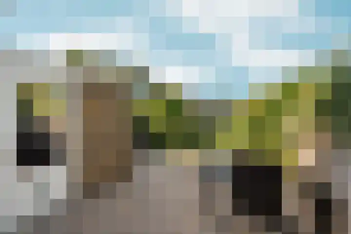 Groesbeekseweg 316 Nijmegen thumbnail 33