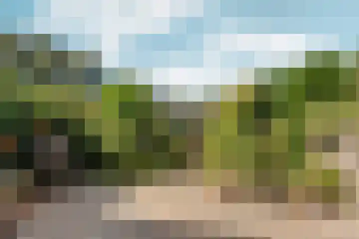 Groesbeekseweg 316 Nijmegen thumbnail 34