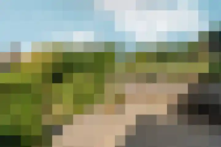 Groesbeekseweg 316 Nijmegen thumbnail 36