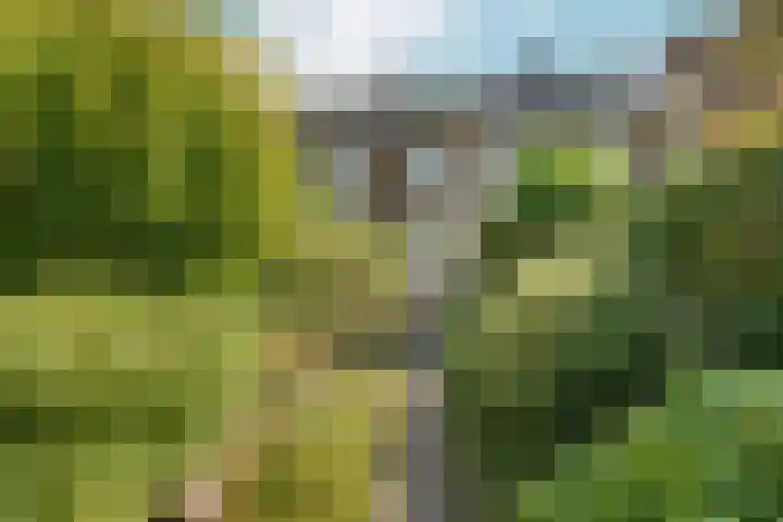 Groesbeekseweg 316 Nijmegen thumbnail 37