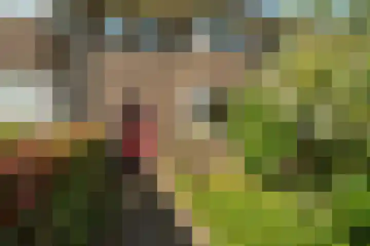 Groesbeekseweg 316 Nijmegen thumbnail 40