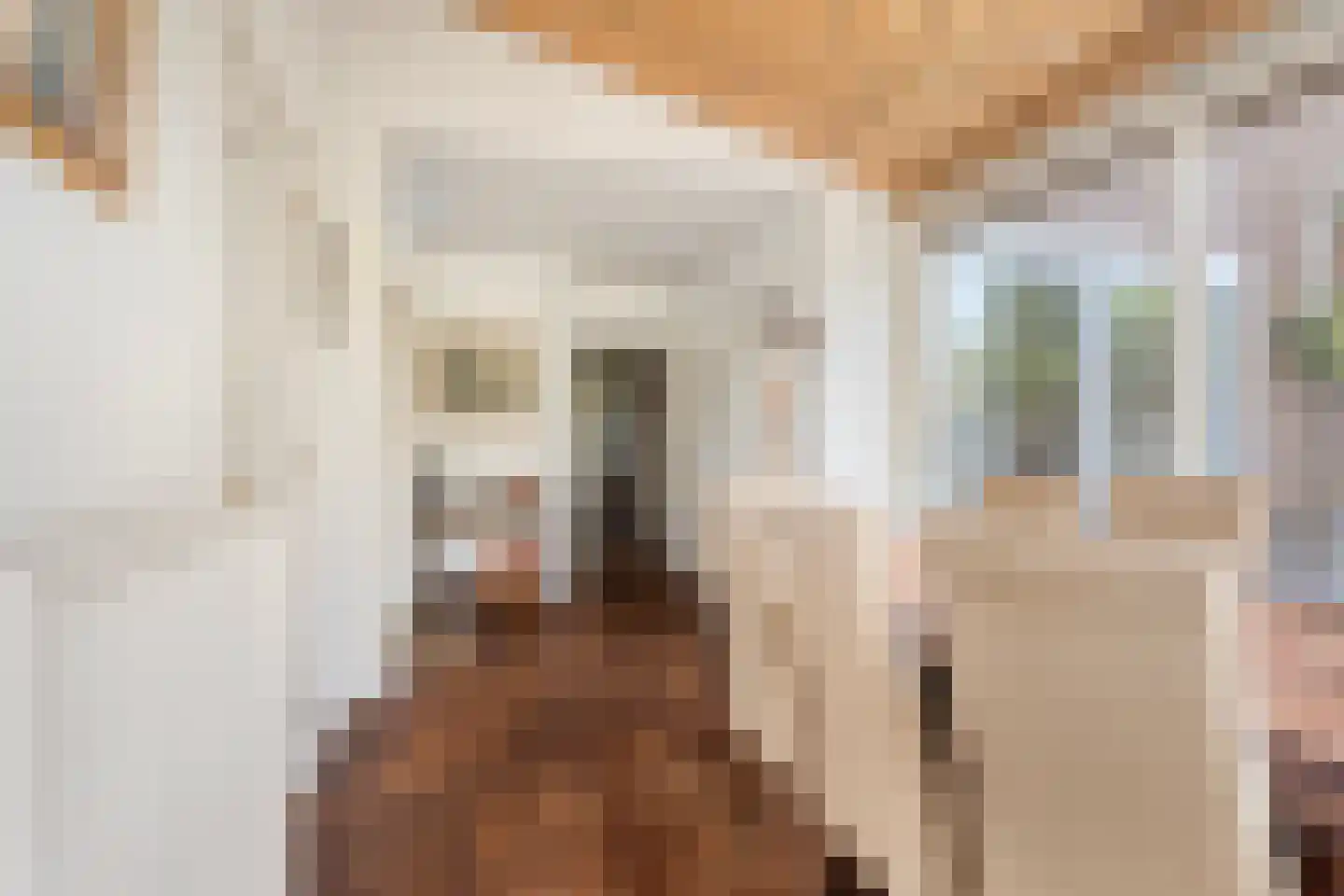 Groesbeekseweg 362 Nijmegen thumbnail 10