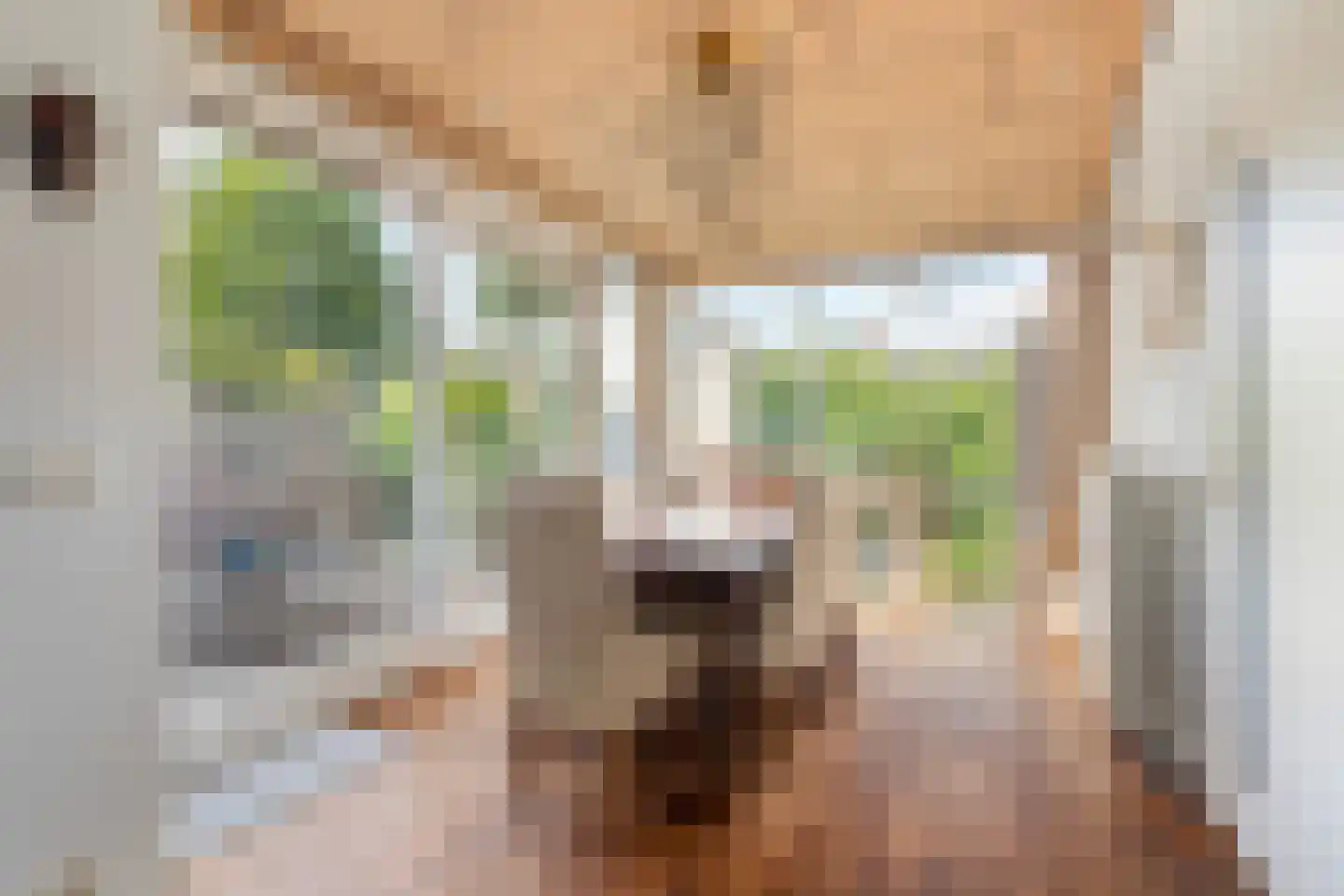 Groesbeekseweg 362 Nijmegen thumbnail 11