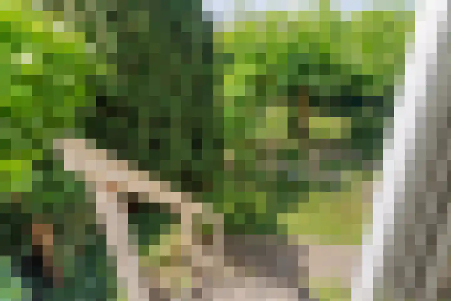 Groesbeekseweg 362 Nijmegen thumbnail 30