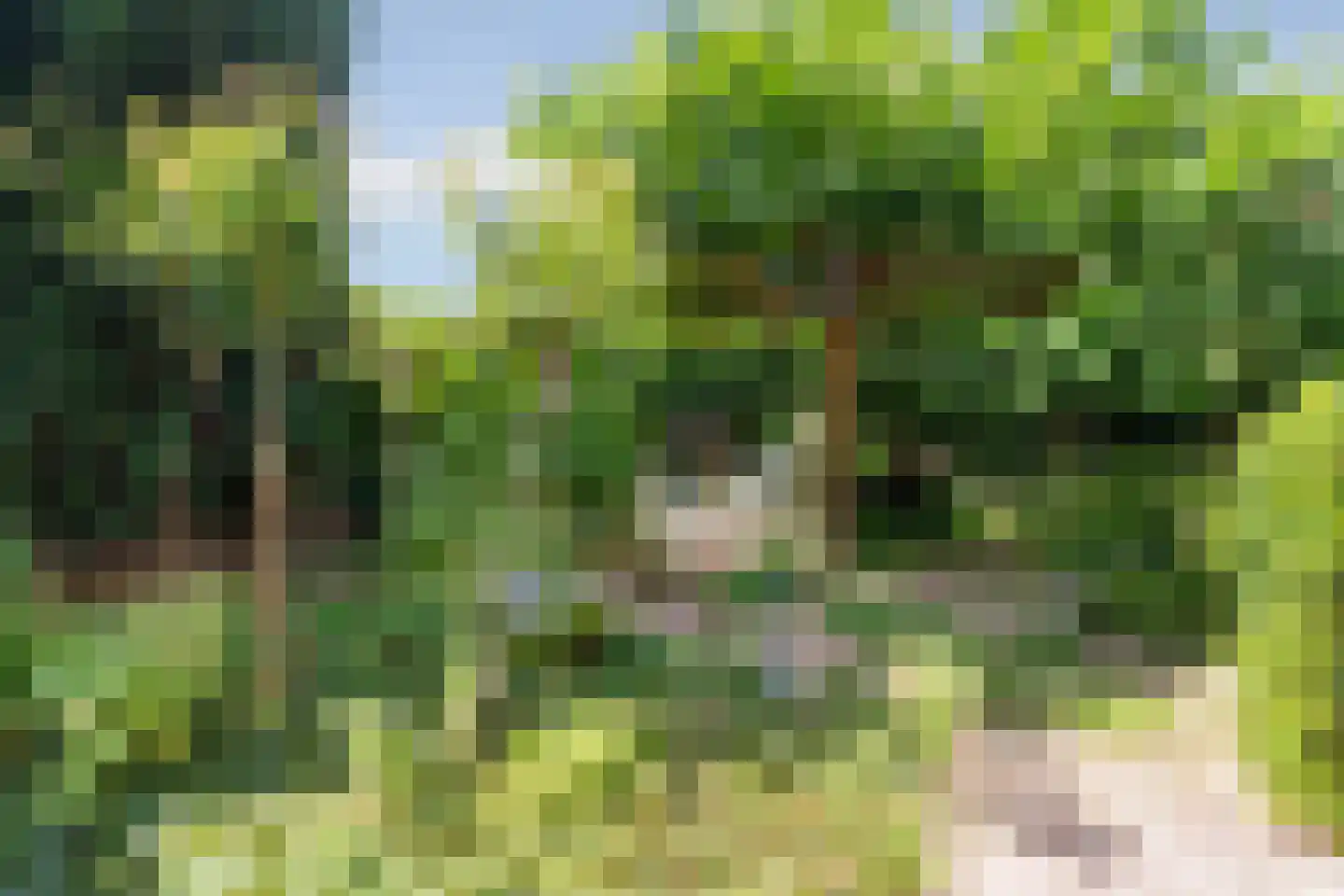 Groesbeekseweg 362 Nijmegen thumbnail 31