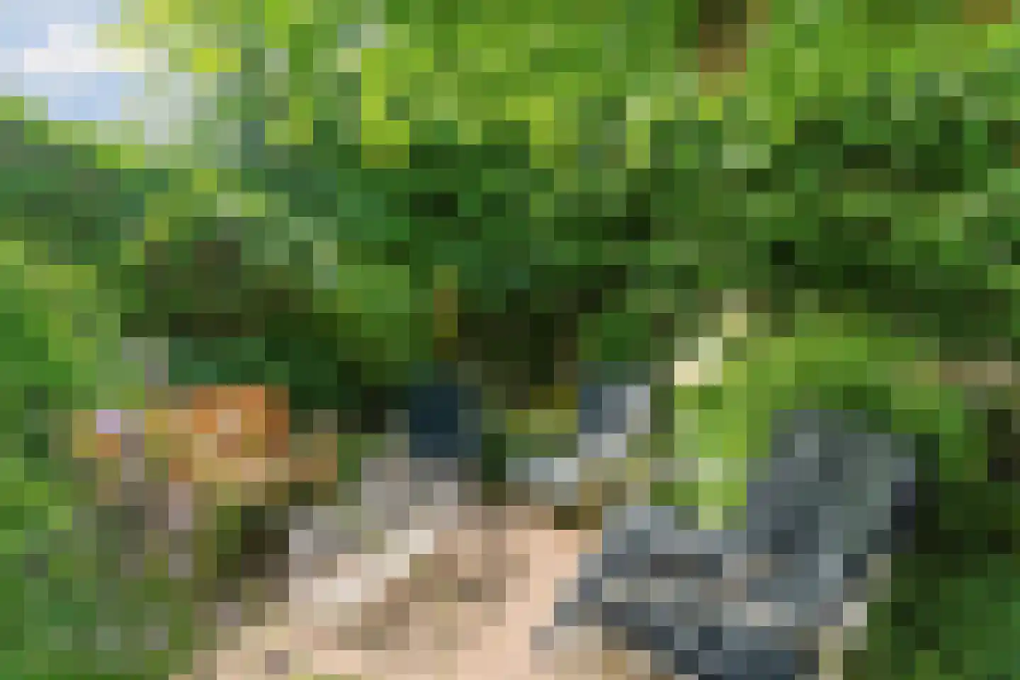 Groesbeekseweg 362 Nijmegen thumbnail 33