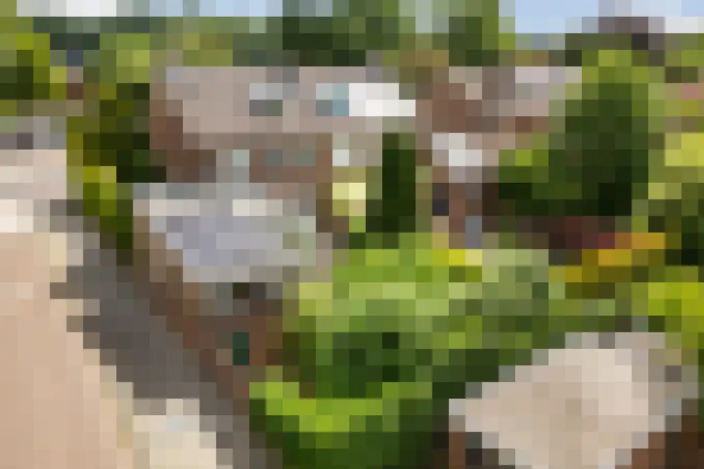Groesbeekseweg 362 Nijmegen thumbnail 37