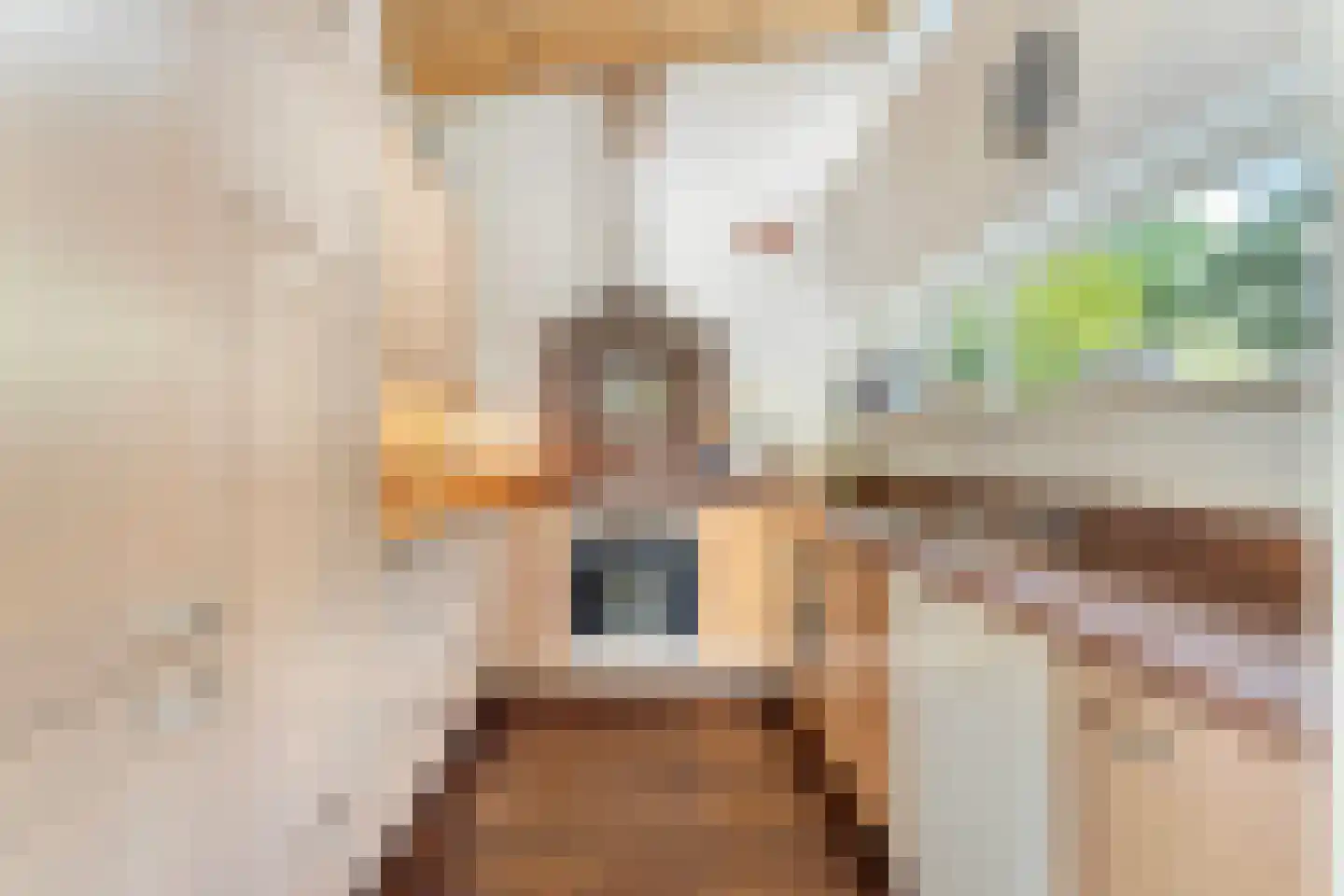 Groesbeekseweg 362 Nijmegen thumbnail 8