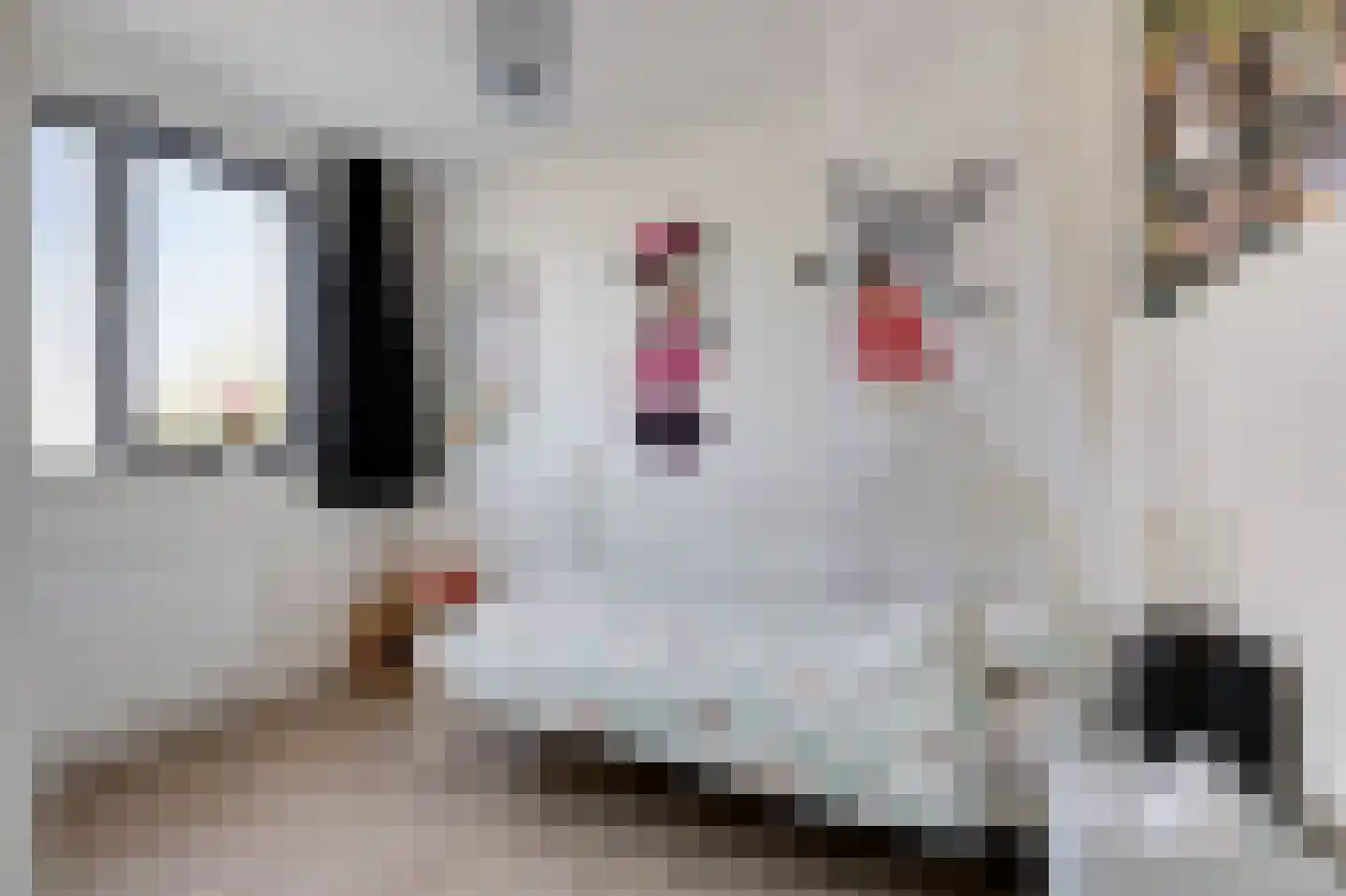 Groesbeekseweg 4 Mook thumbnail 22