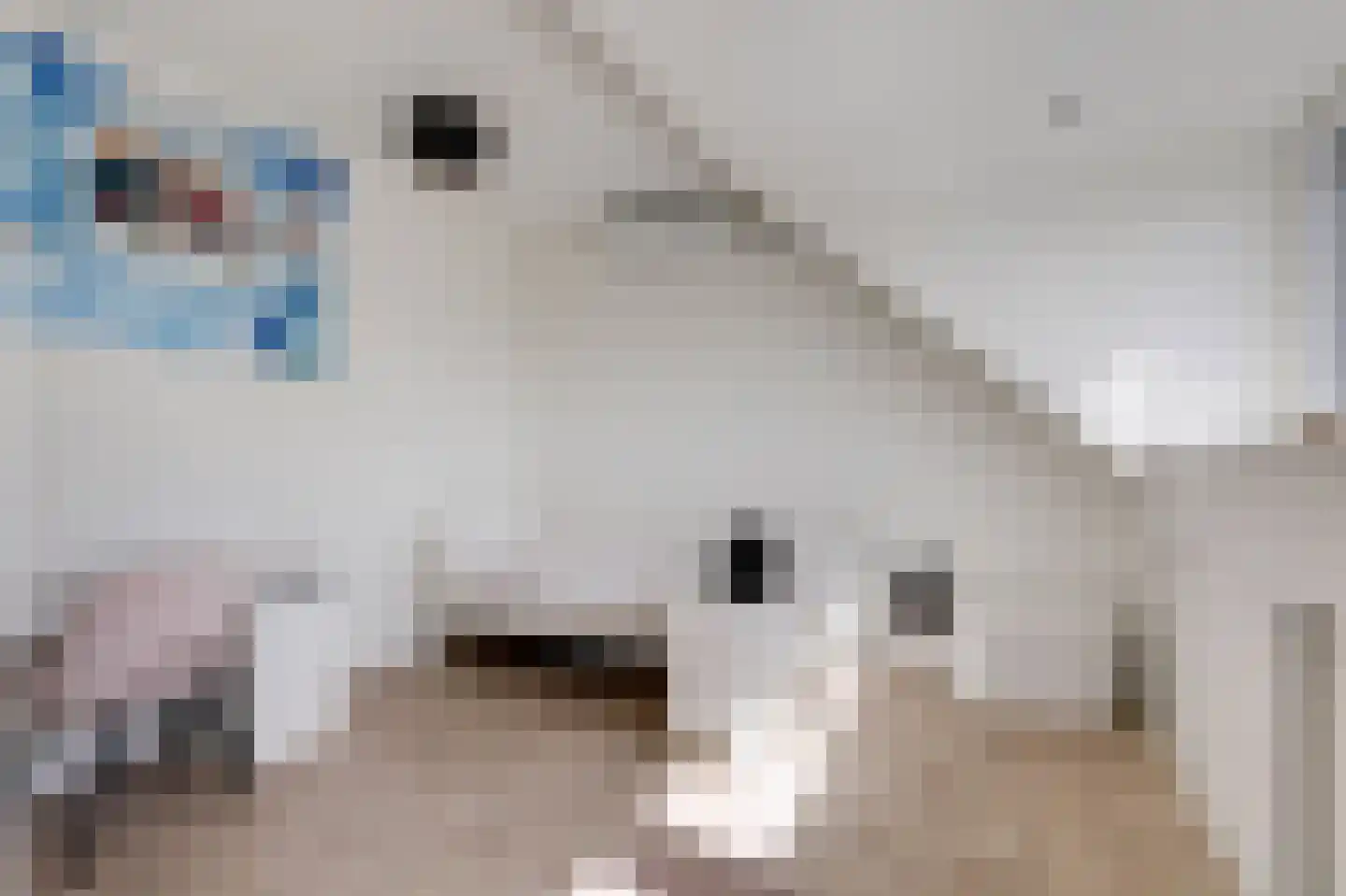 Groesbeekseweg 4 Mook thumbnail 27