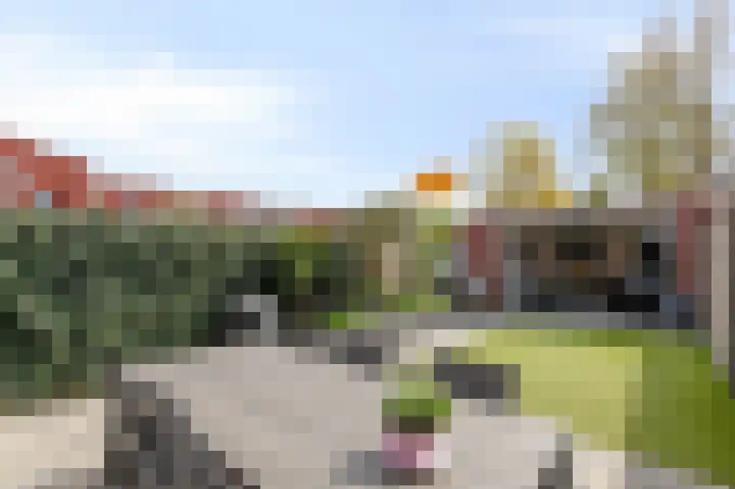 Groesbeekseweg 4 Mook thumbnail 35