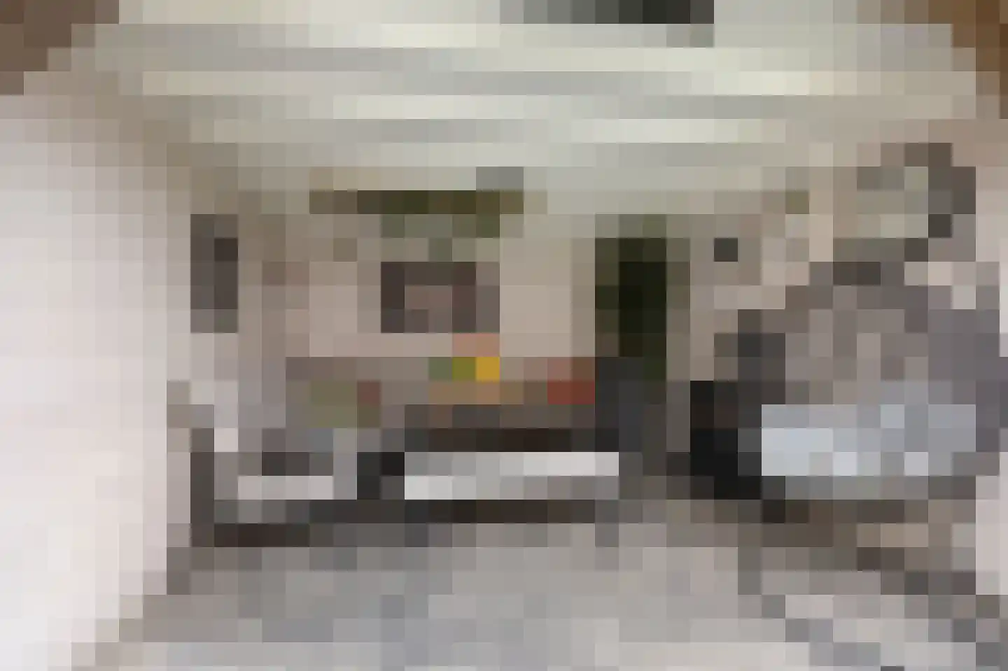 Groesbeekseweg 4 Mook thumbnail 36