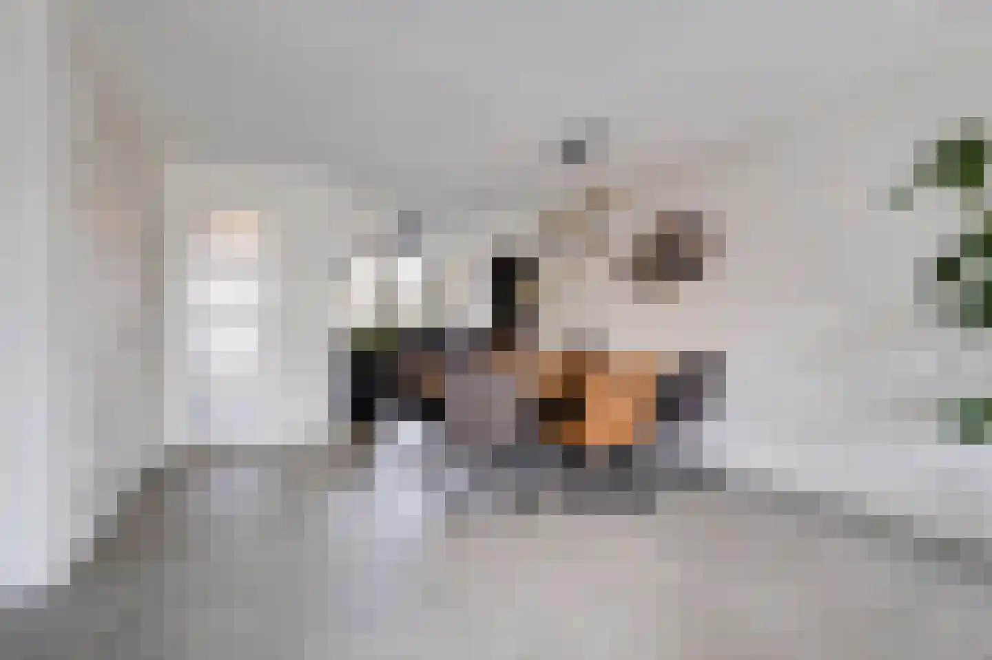 Groesbeekseweg 4 Mook thumbnail 8