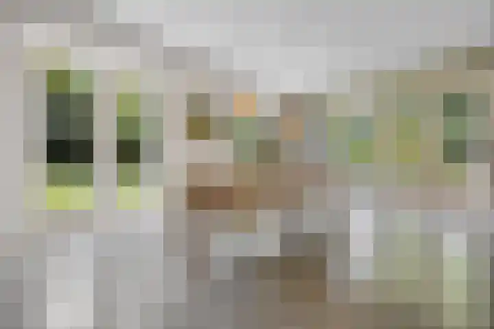 Groesbeekseweg 428 Nijmegen thumbnail 4