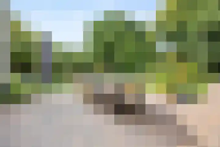 Groesbeekseweg 428 Nijmegen thumbnail 42