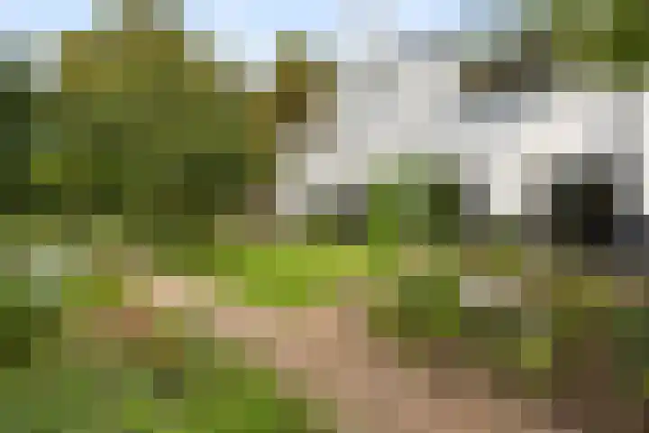 Groesbeekseweg 428 Nijmegen thumbnail 52