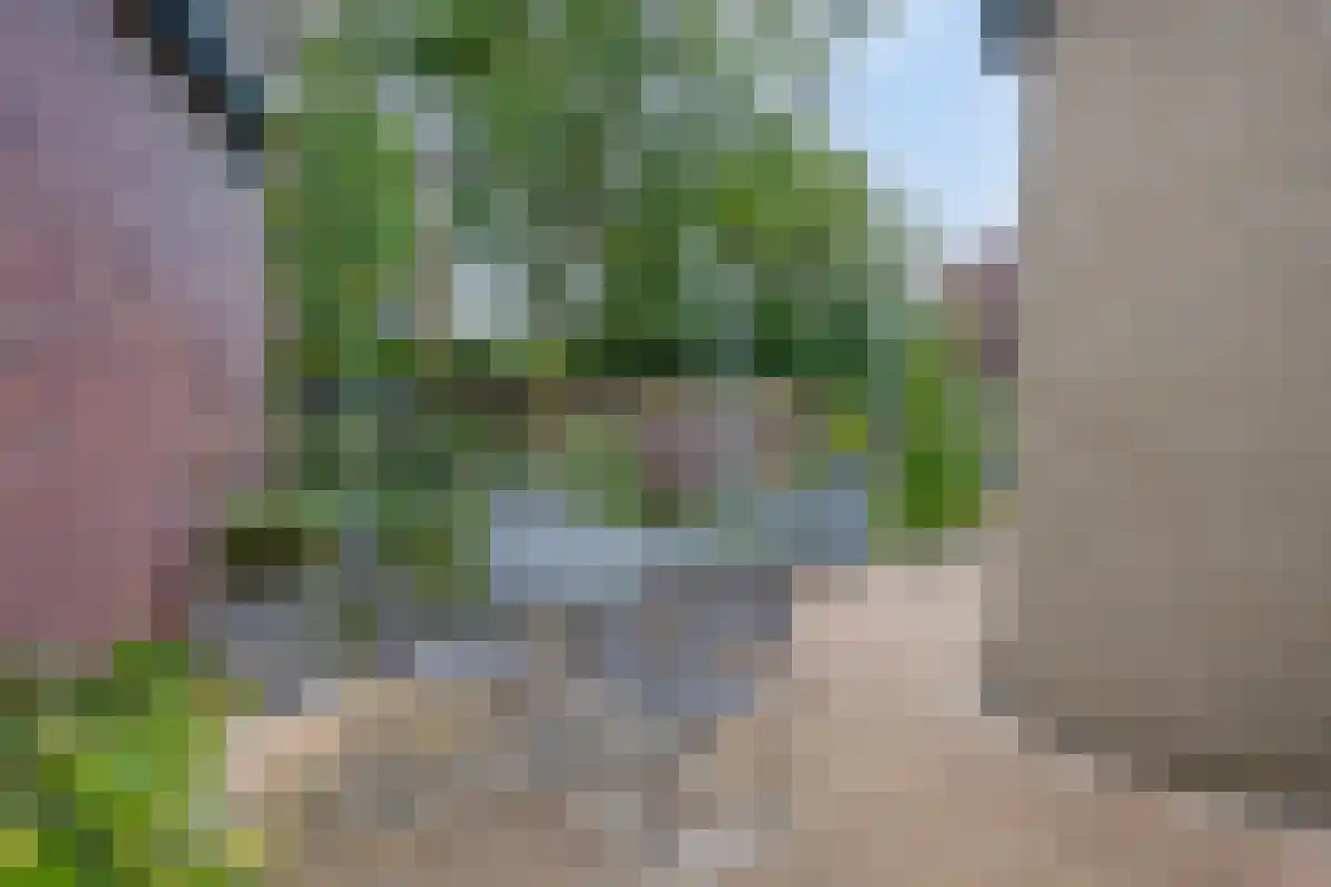 Groesbeekseweg 446 Nijmegen thumbnail 64