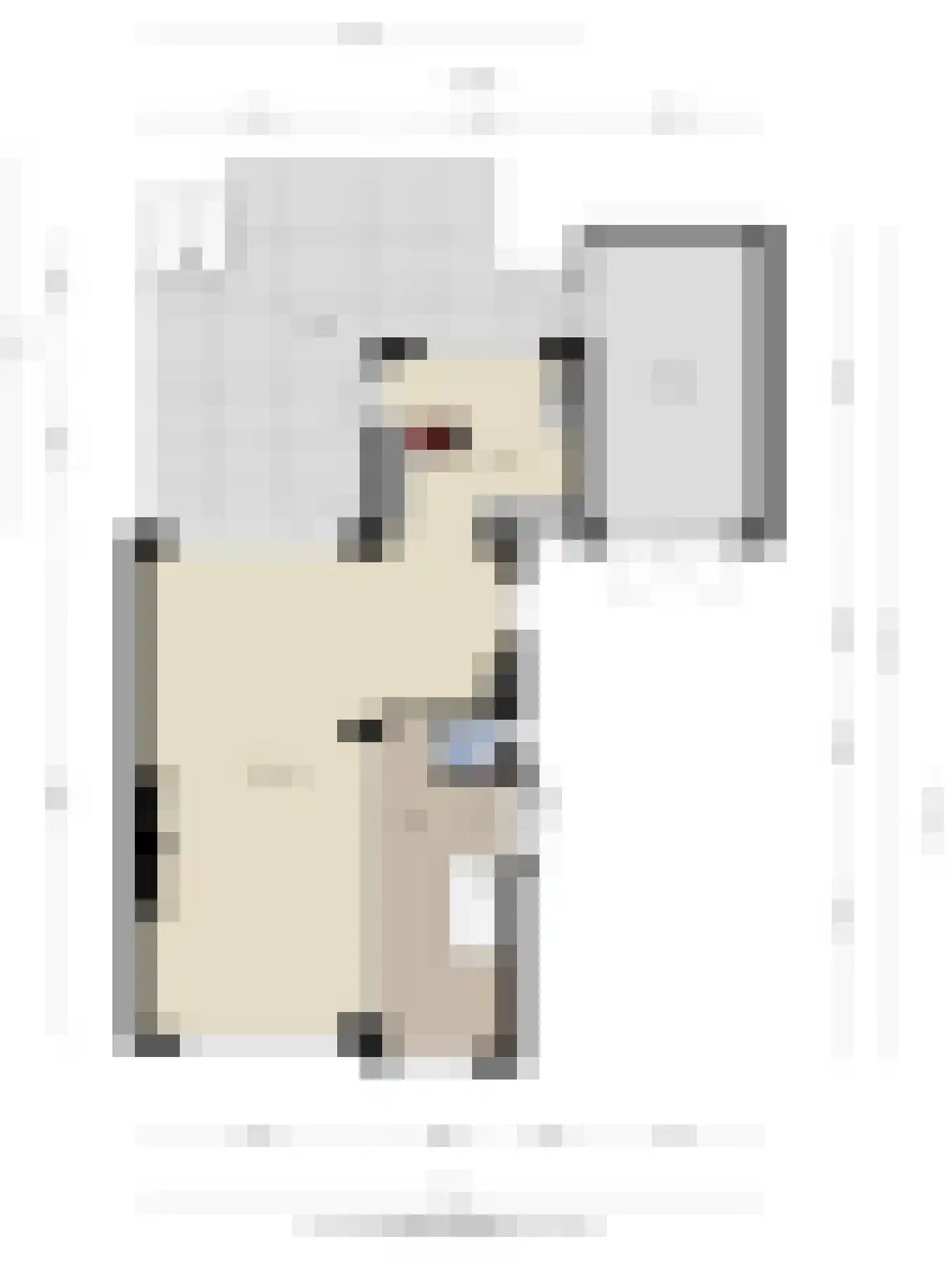 Groesbeekseweg 468 Nijmegen thumbnail 44