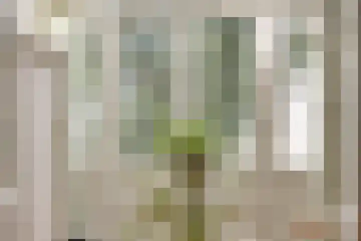 Groesbeekseweg 47 Nijmegen thumbnail 37