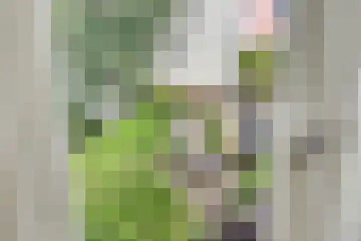 Groesbeekseweg 47 Nijmegen thumbnail 38