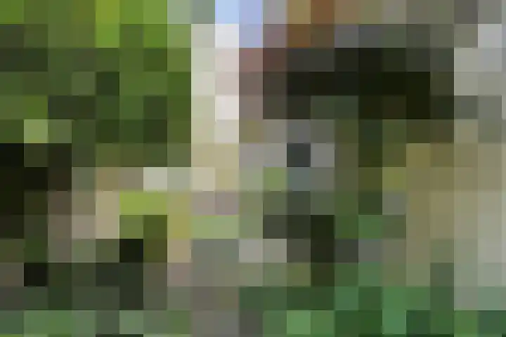Groesbeekseweg 47 Nijmegen thumbnail 63