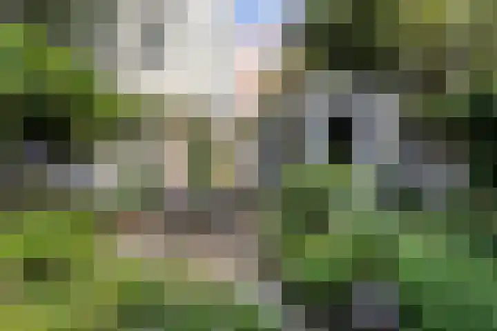 Groesbeekseweg 47 Nijmegen thumbnail 64
