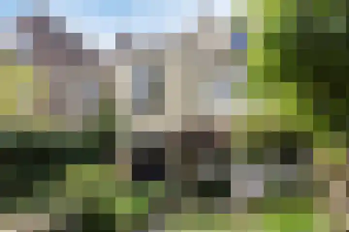 Groesbeekseweg 47 Nijmegen thumbnail 67