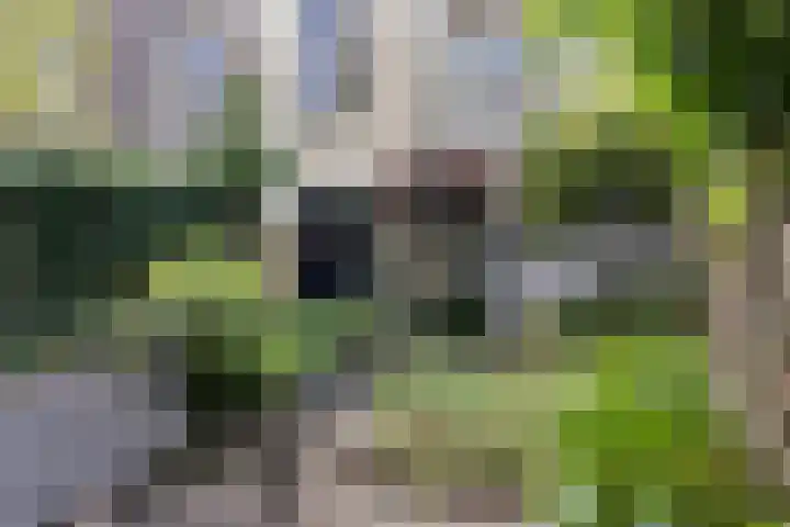 Groesbeekseweg 47 Nijmegen thumbnail 68