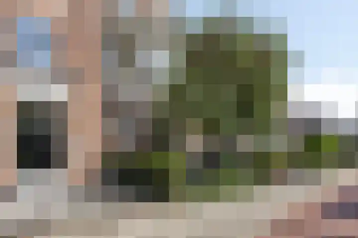 Groesbeekseweg 47 Nijmegen thumbnail 72