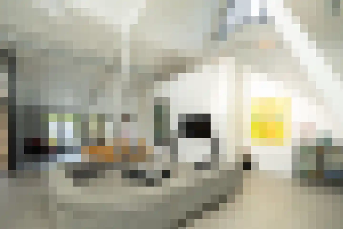 Groesbeekseweg 50 Malden thumbnail 12