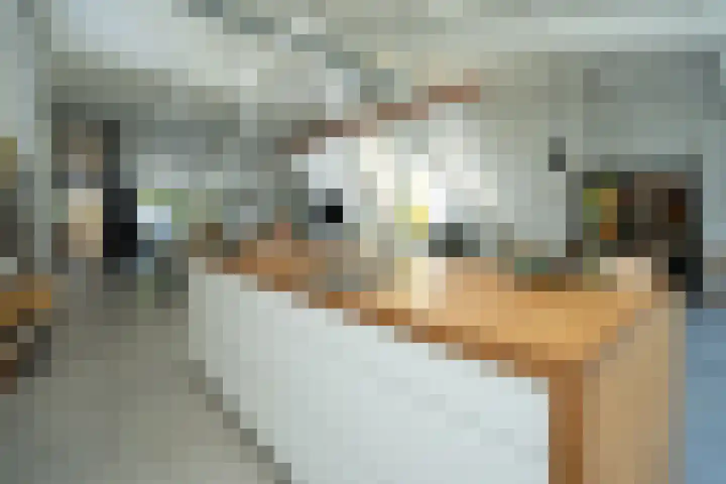 Groesbeekseweg 50 Malden thumbnail 15