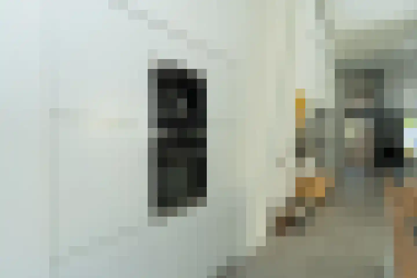Groesbeekseweg 50 Malden thumbnail 16