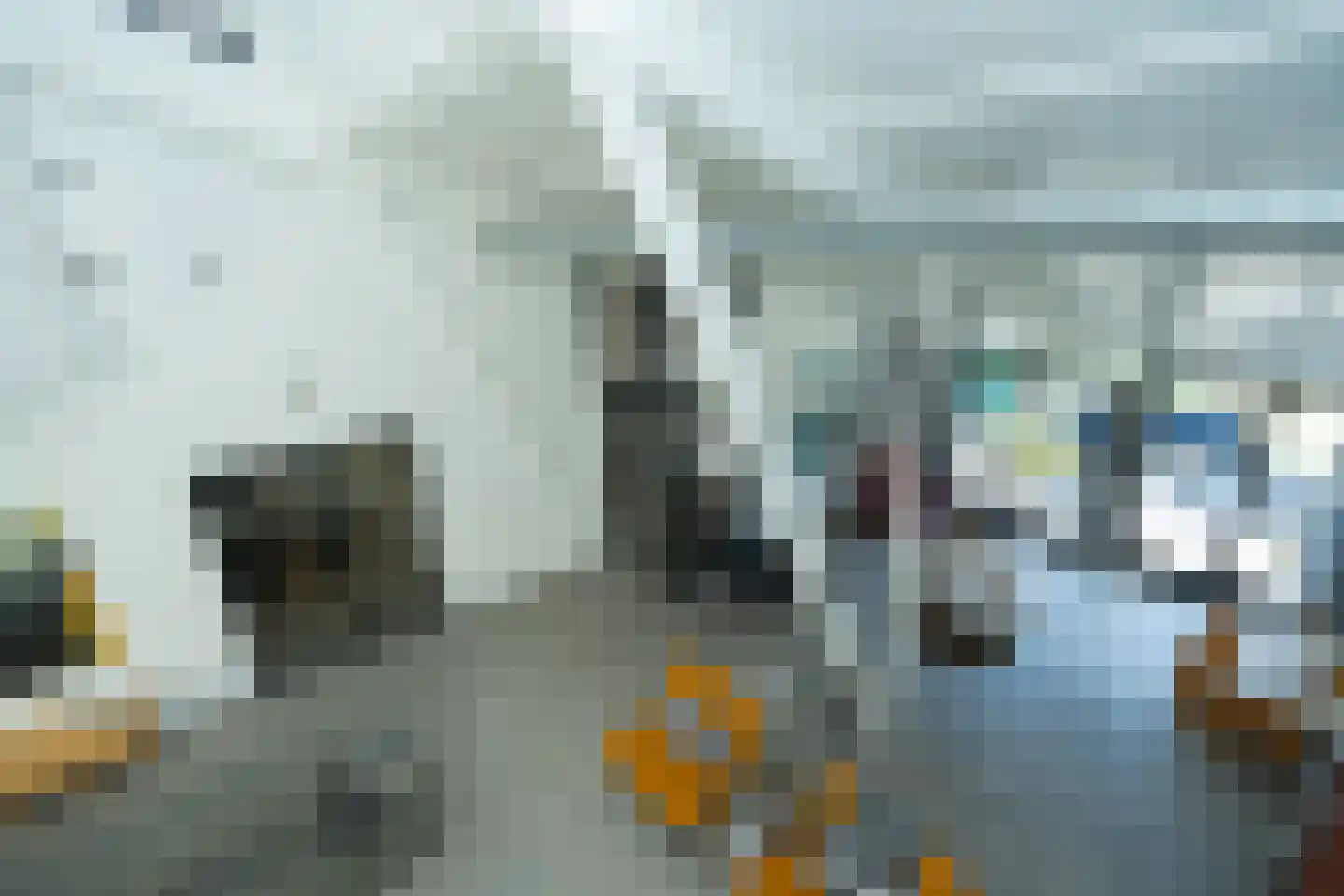 Groesbeekseweg 50 Malden thumbnail 24