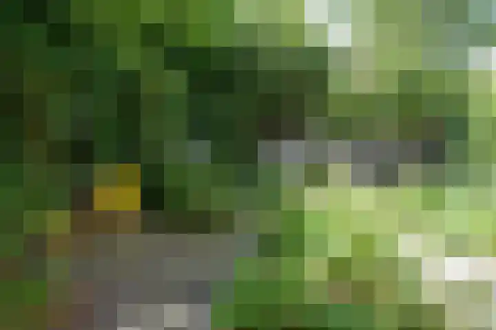 Groesbeekseweg 56 Nijmegen thumbnail 22