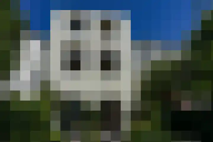 Groesbeekseweg 56 Nijmegen thumbnail 24