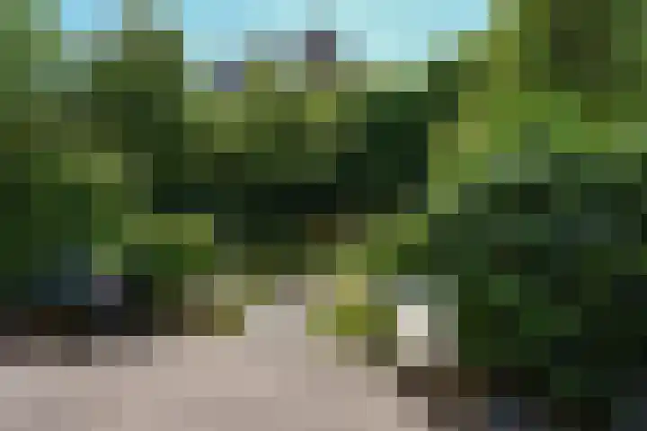 Groesbeekseweg 56 Nijmegen thumbnail 6