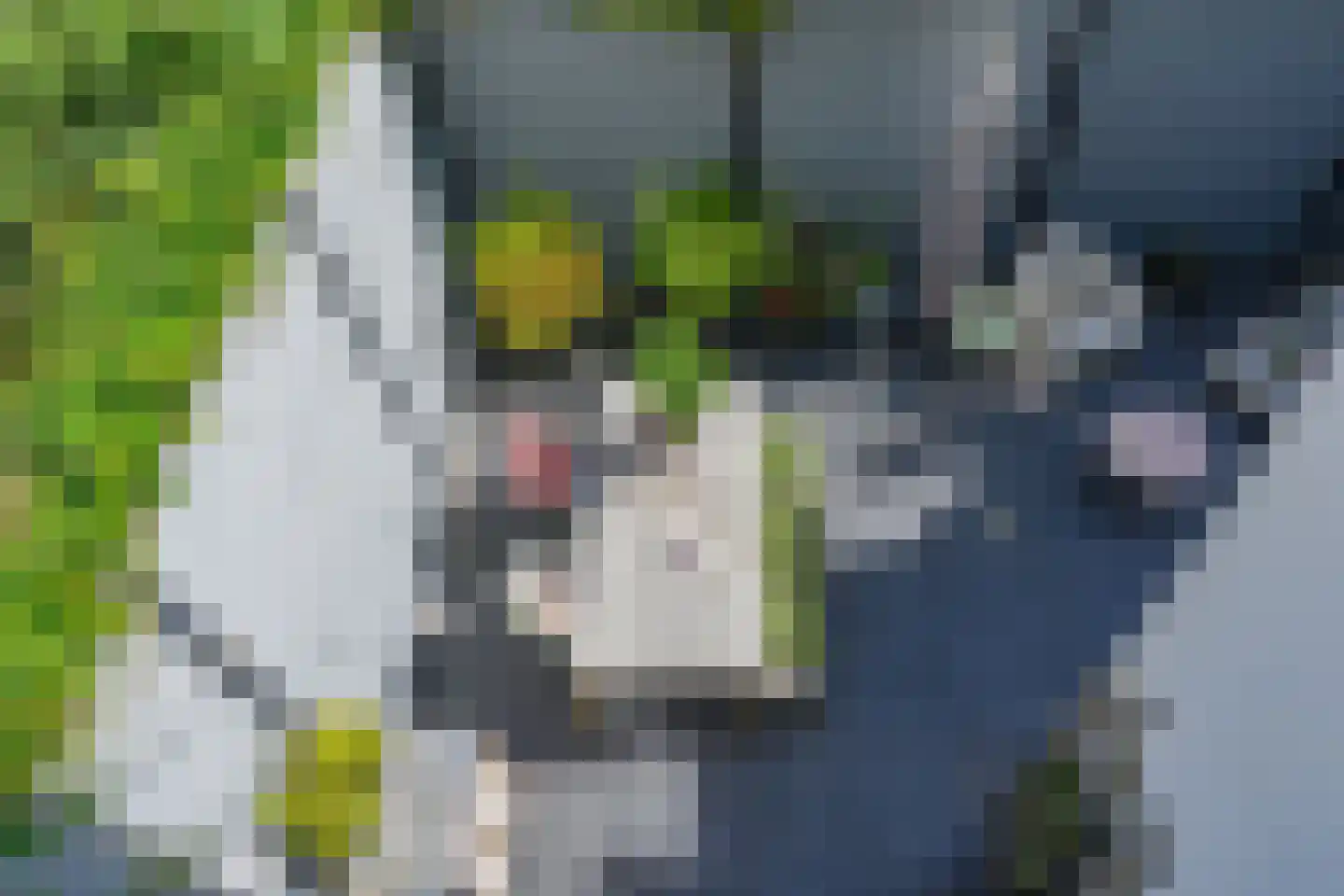 Groesbeekseweg 71 Nijmegen thumbnail 43