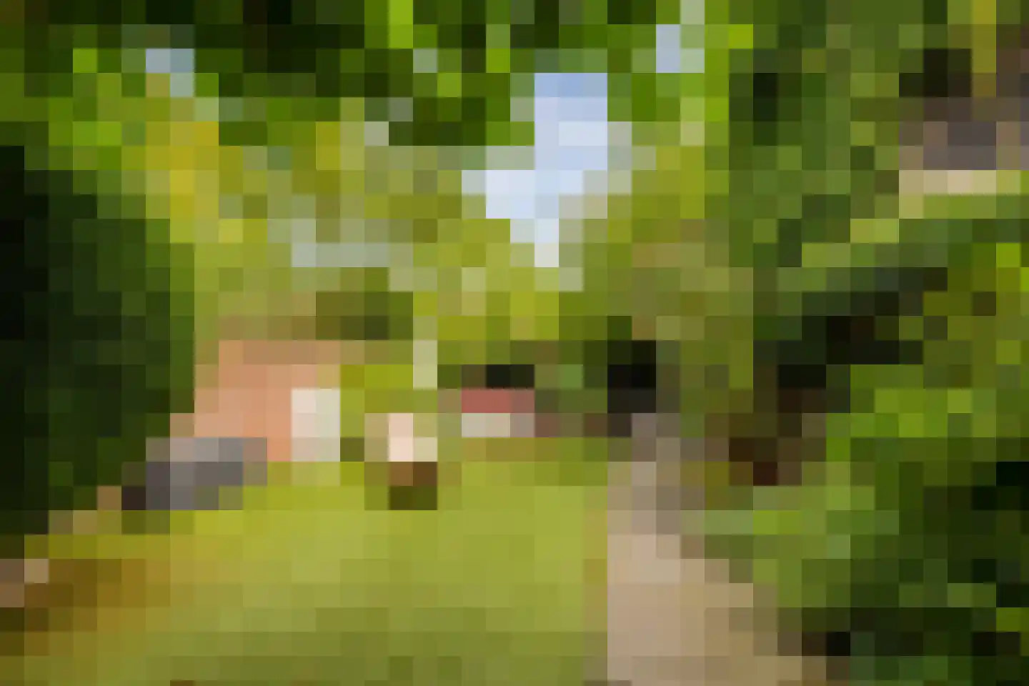 Groesbeekseweg 85 Nijmegen thumbnail 6