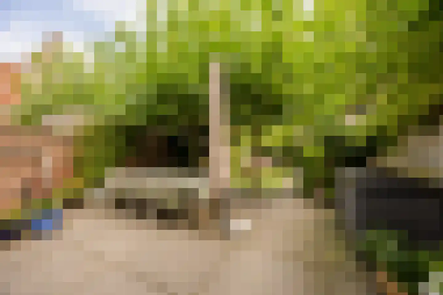 Groesbeekseweg 85 Nijmegen thumbnail 71
