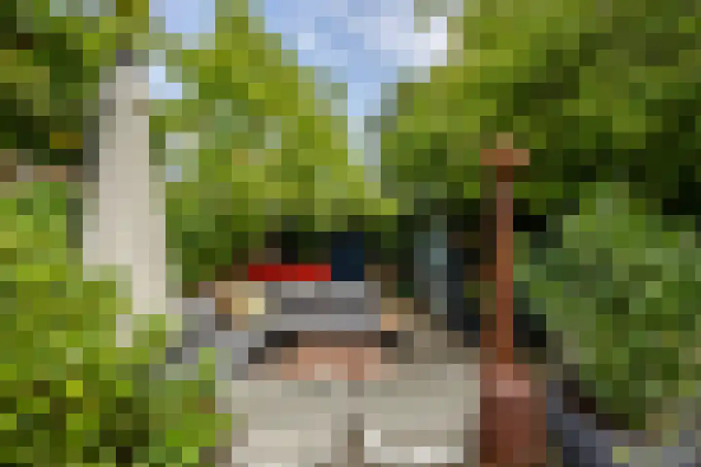 Groesbeekseweg 85 Nijmegen thumbnail 73
