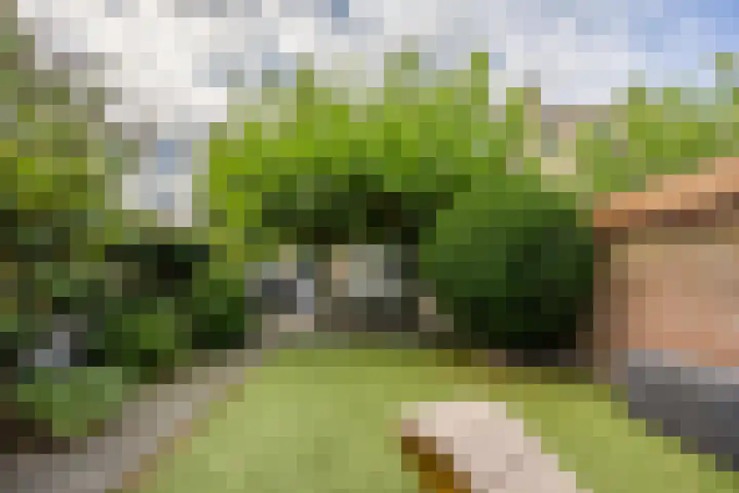 Groesbeekseweg 85 Nijmegen thumbnail 74