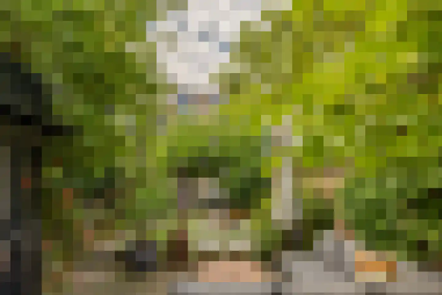 Groesbeekseweg 85 Nijmegen thumbnail 76