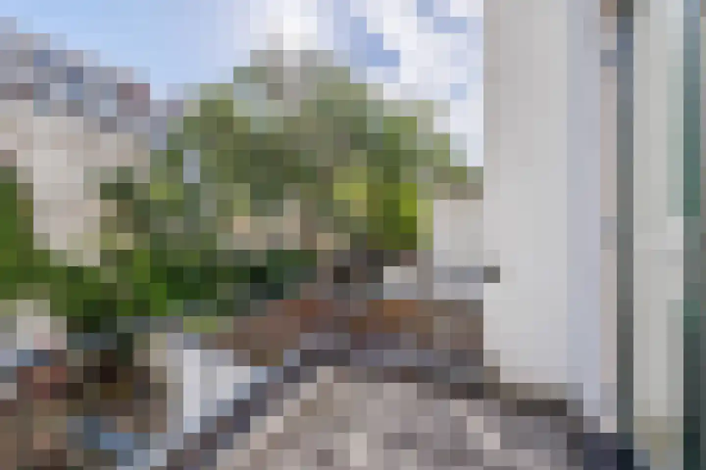 Groesbeekseweg 93 A Nijmegen thumbnail 19